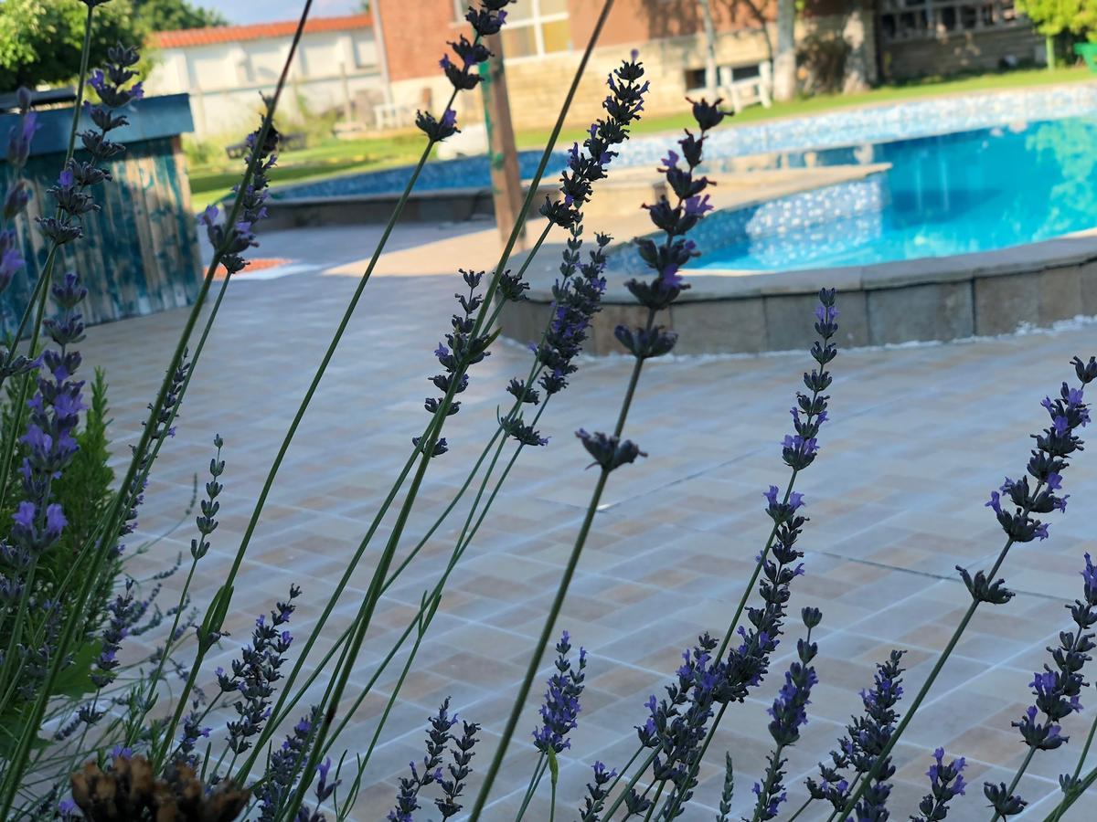 Hotel Galeria In The Garden Plovdiv Exteriér fotografie